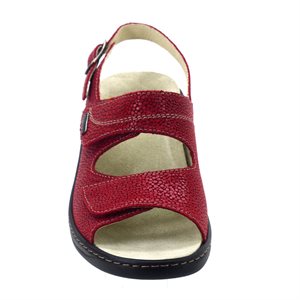 Fidélio, 225002, 36, Rouge