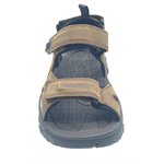 Keen, Targhee III, Bison