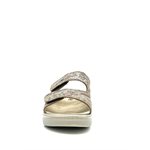 Rohde, 5224-77, Earth